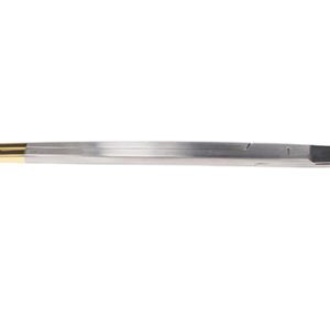 SS010  Z-Hysterectomy Scissors
