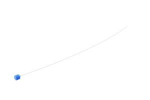 image catheter stylet